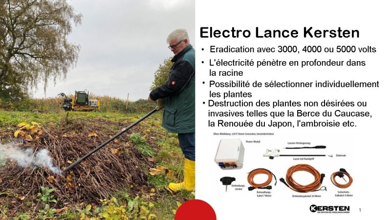 Electro Lance